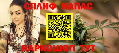 мдпв Гусев