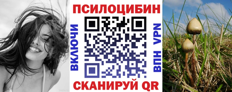 Галлюциногенные грибы Magic Shrooms где продают наркотики Ртищево