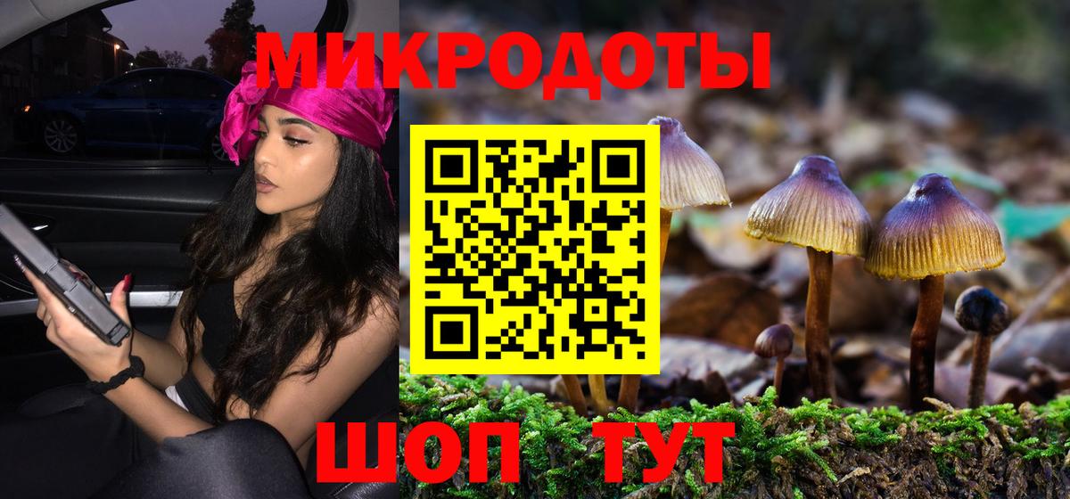 Галлюциногенные грибы Cubensis Ртищево