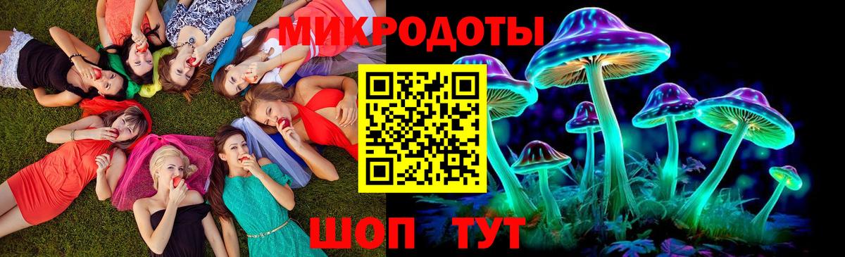 МЕФ кристаллы  ГАШ  Бошки Шишки  Ртищево  Вход с VPN 